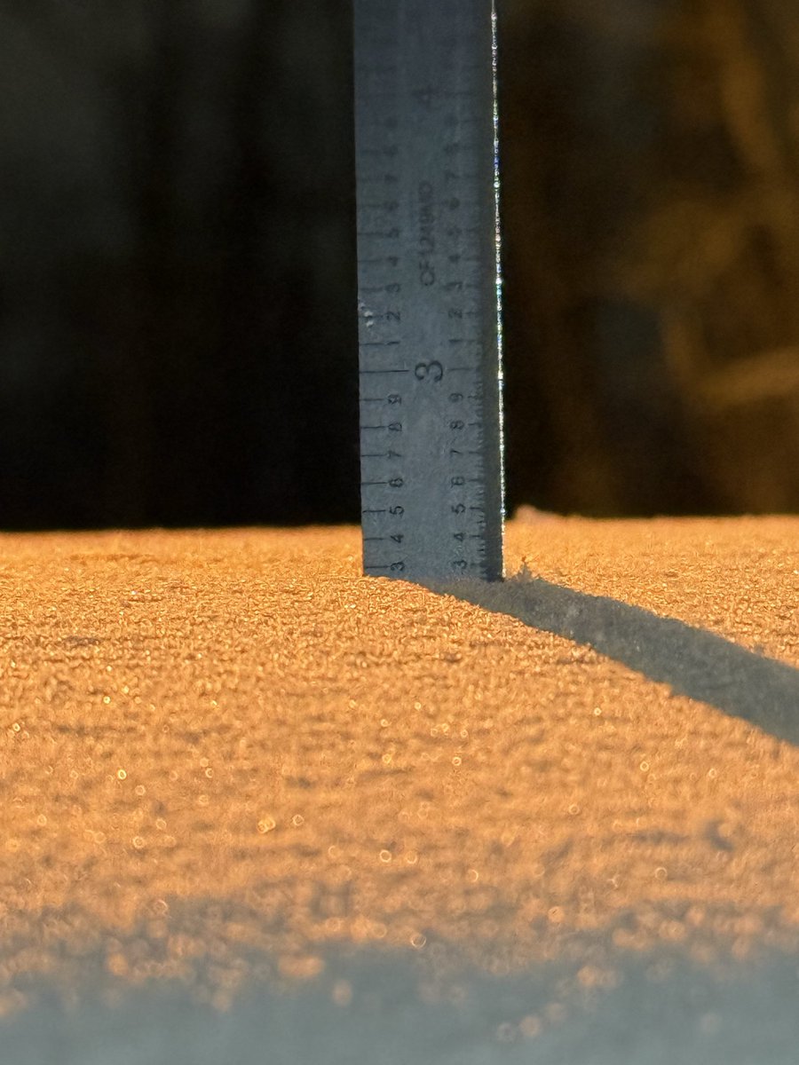 Nathan Shutt tweet media