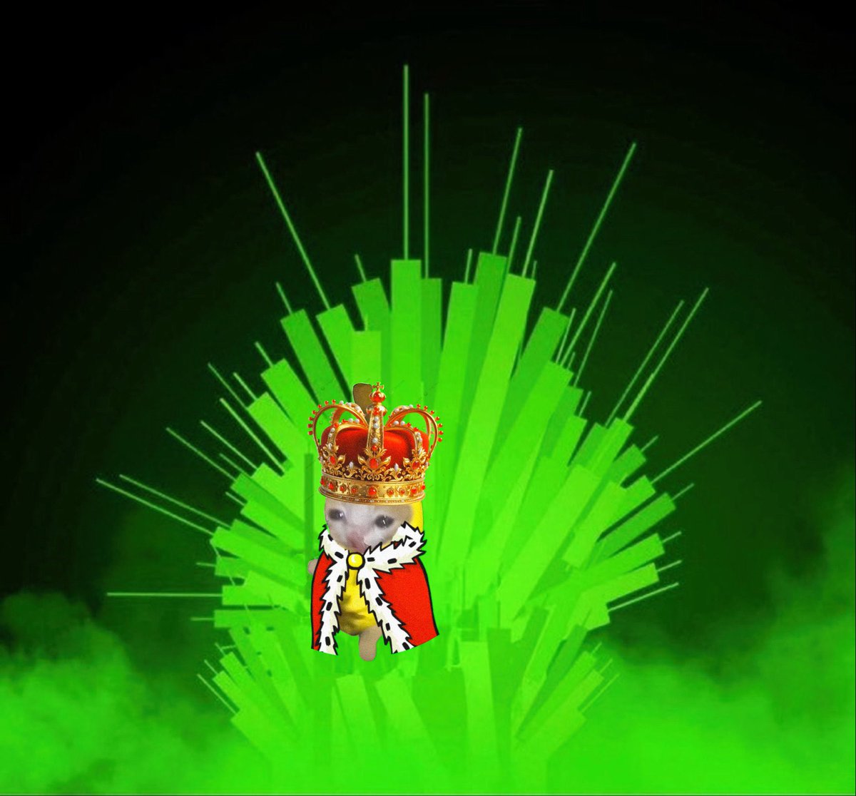 jelmo 🍌😼🍎 tweet media