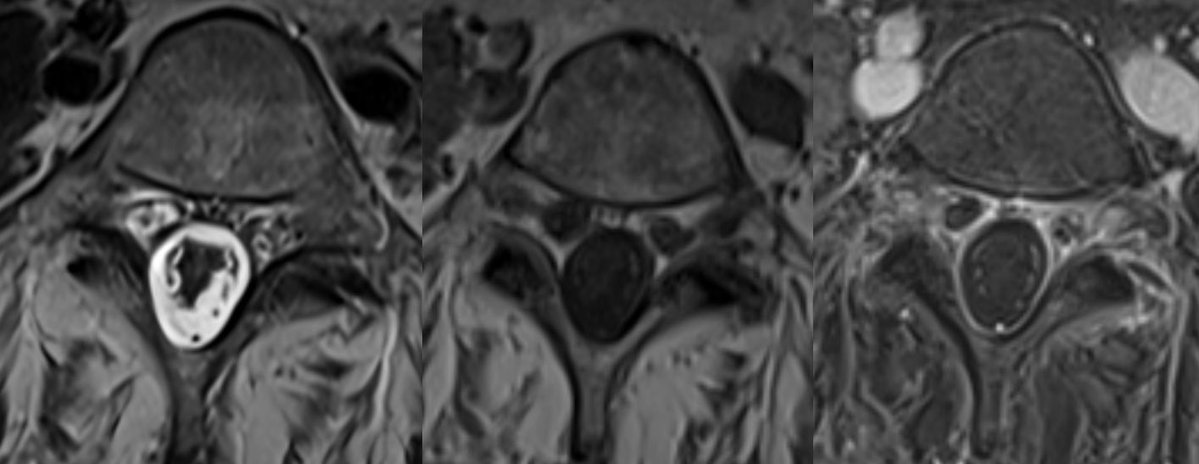 Daniel Gewolb, MD tweet media