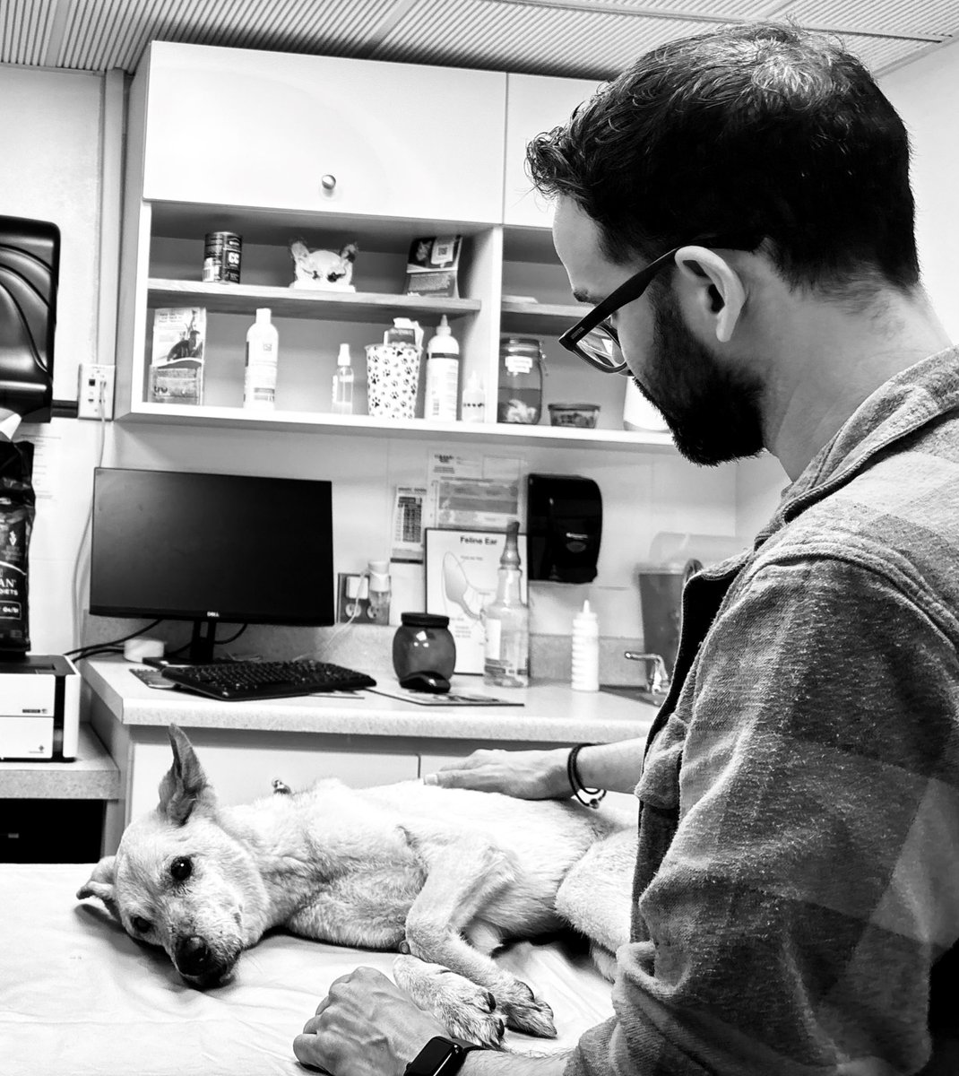 VITÍN MANUEL 🤓 tweet media