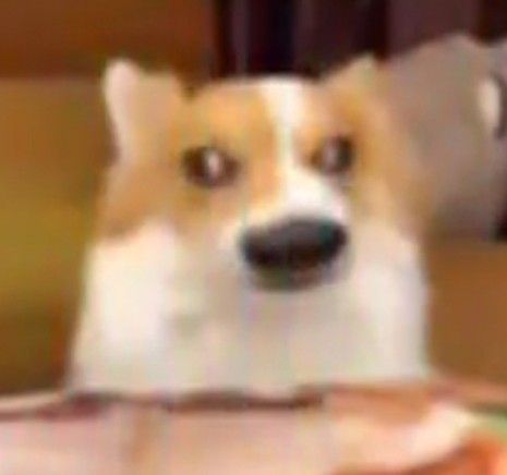 Anahí Mendoza 🐛 tweet media