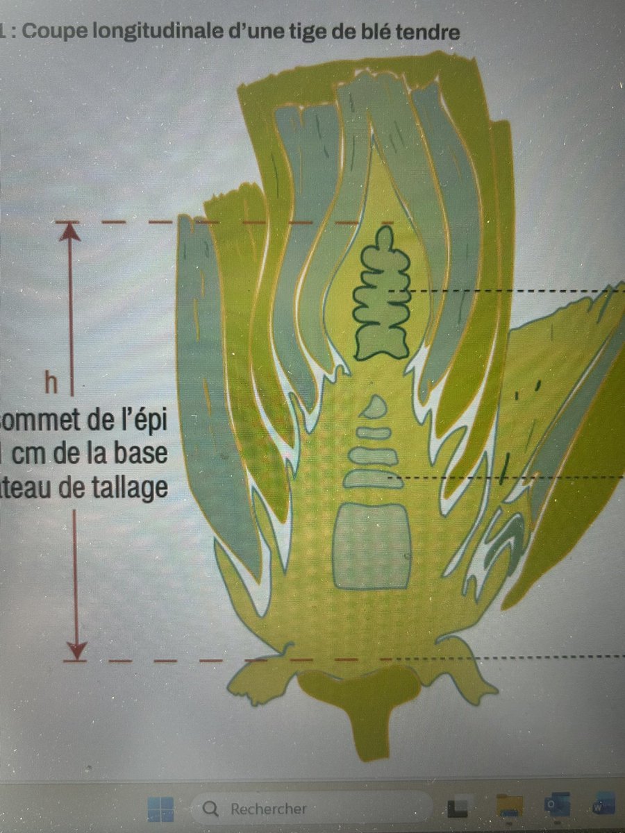 Emmanuel BONNIN tweet media