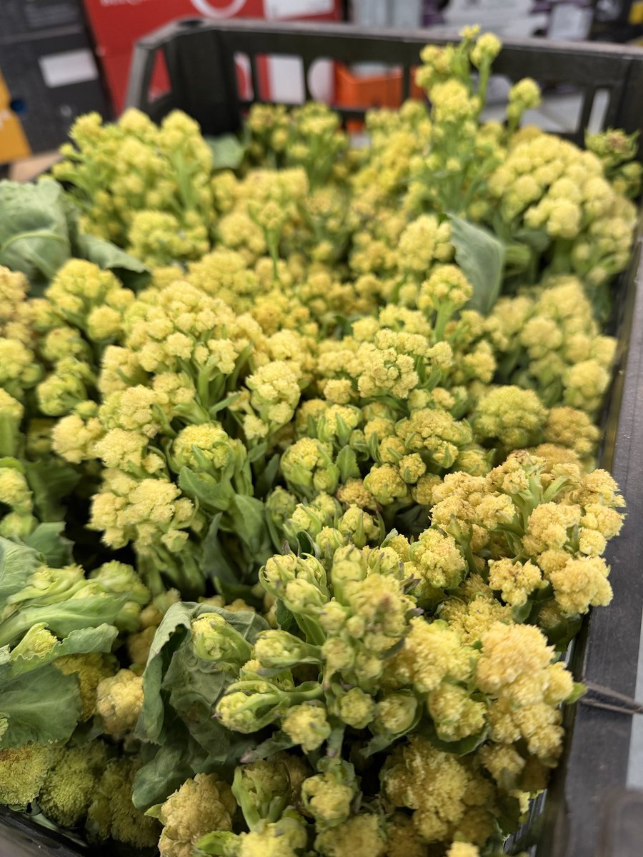 First Choice Produce tweet media