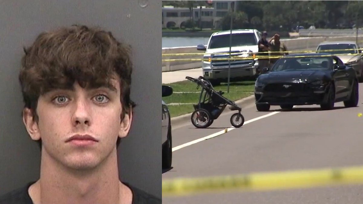 gu̸c̸c̸i̸fe̸r tweet media