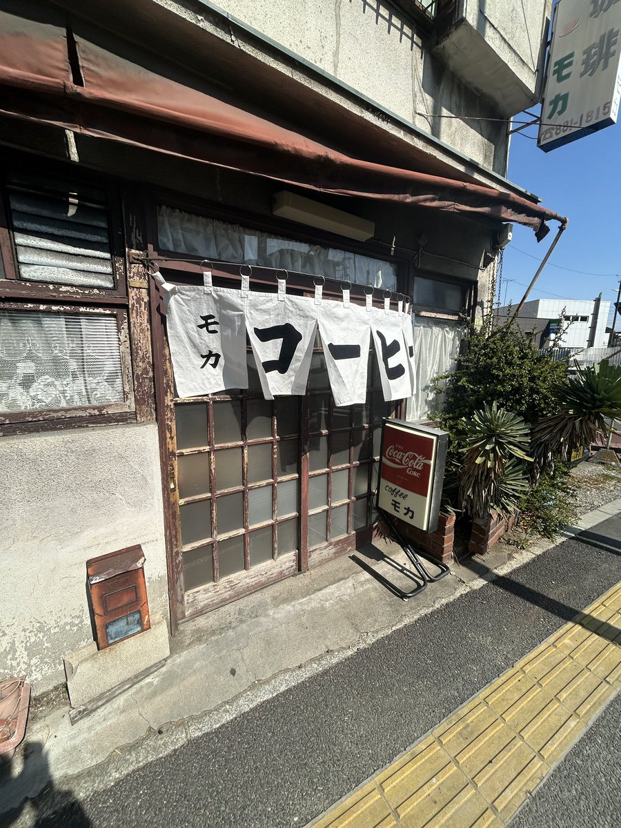 平地のハムスター2 tweet media