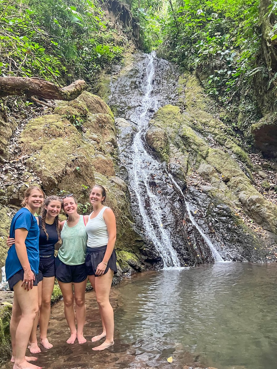 Samford University tweet media