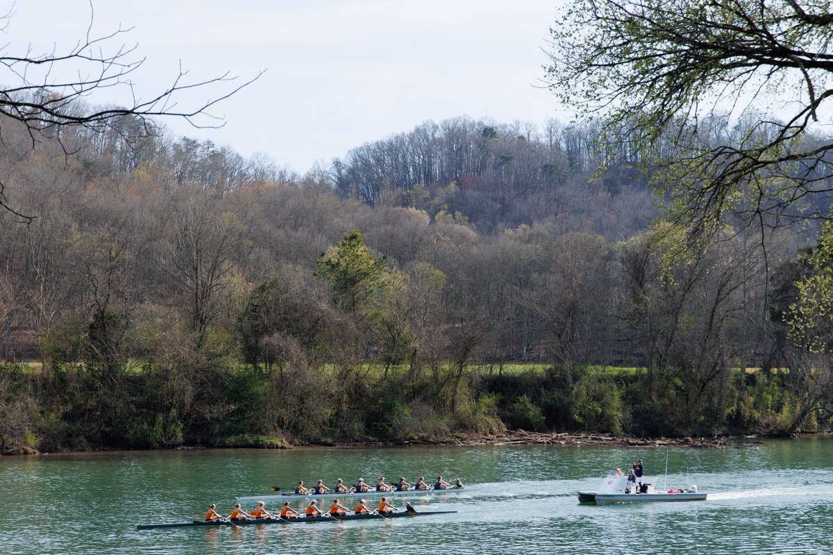 For Stars Network tweet media