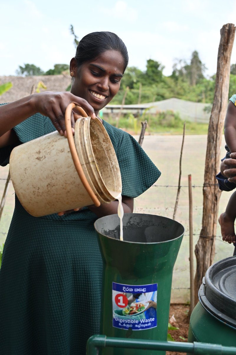 国連開発計画(UNDP)駐日代表事務所 tweet media