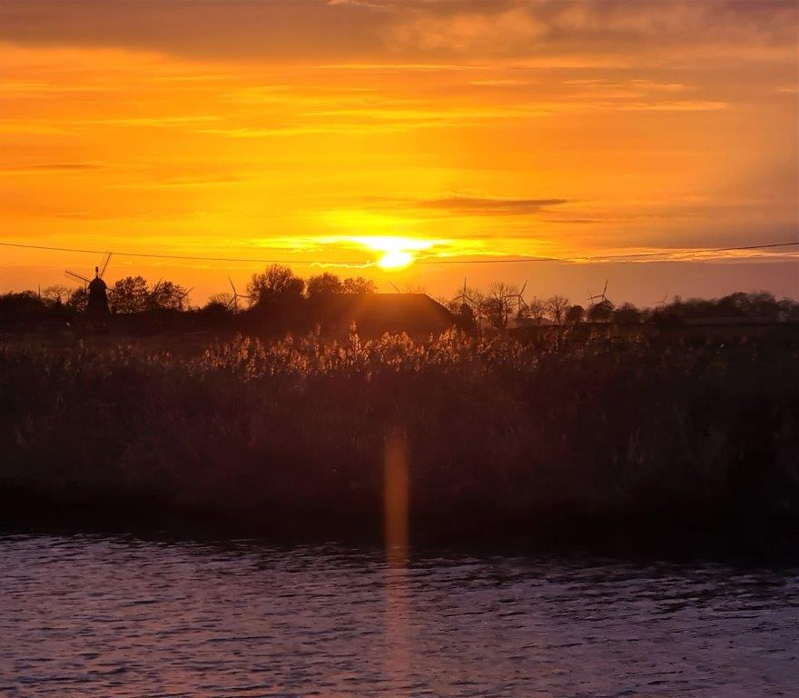 Uta Rabe🏊♀️🚴♀️🚶🧘🌈🐬📕 tweet media