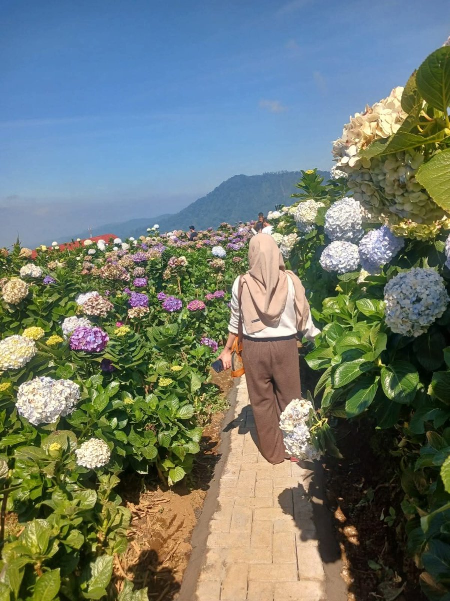 heycegil's tweet photo. #olahragamalam
montok gak sih pantat gue ??? https://t.co/YaQiHfbEfR