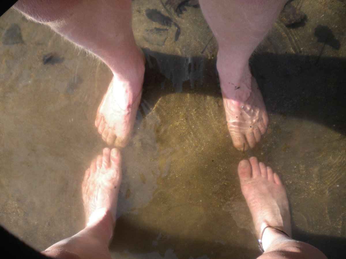 Venerable Ascetic Gorpama tweet media