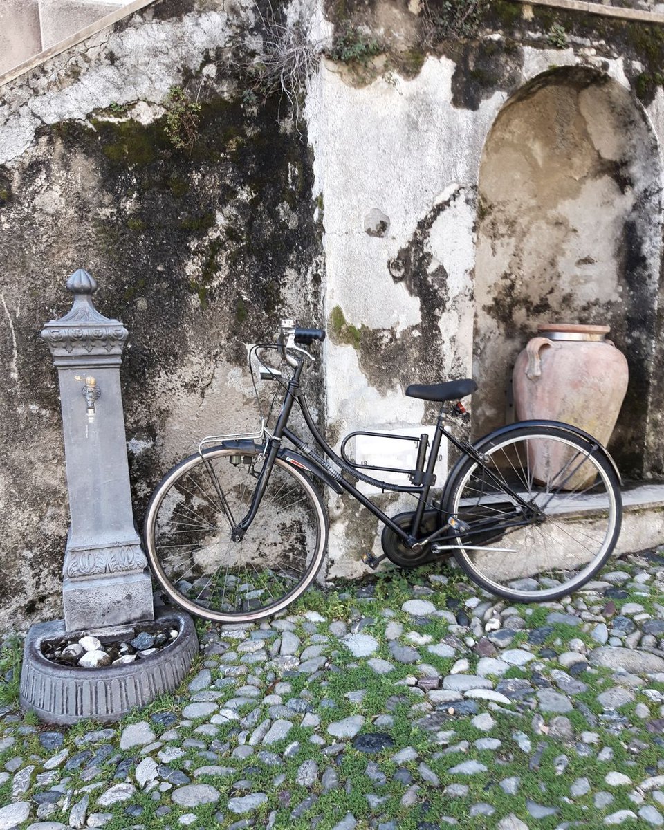 Freya Ingva tweet media