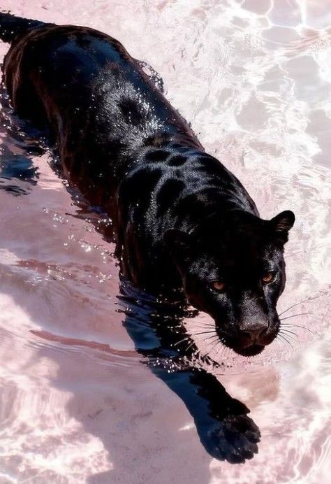 Artzchillect tweet media