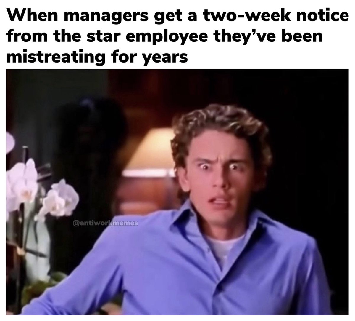 Work Memes tweet media