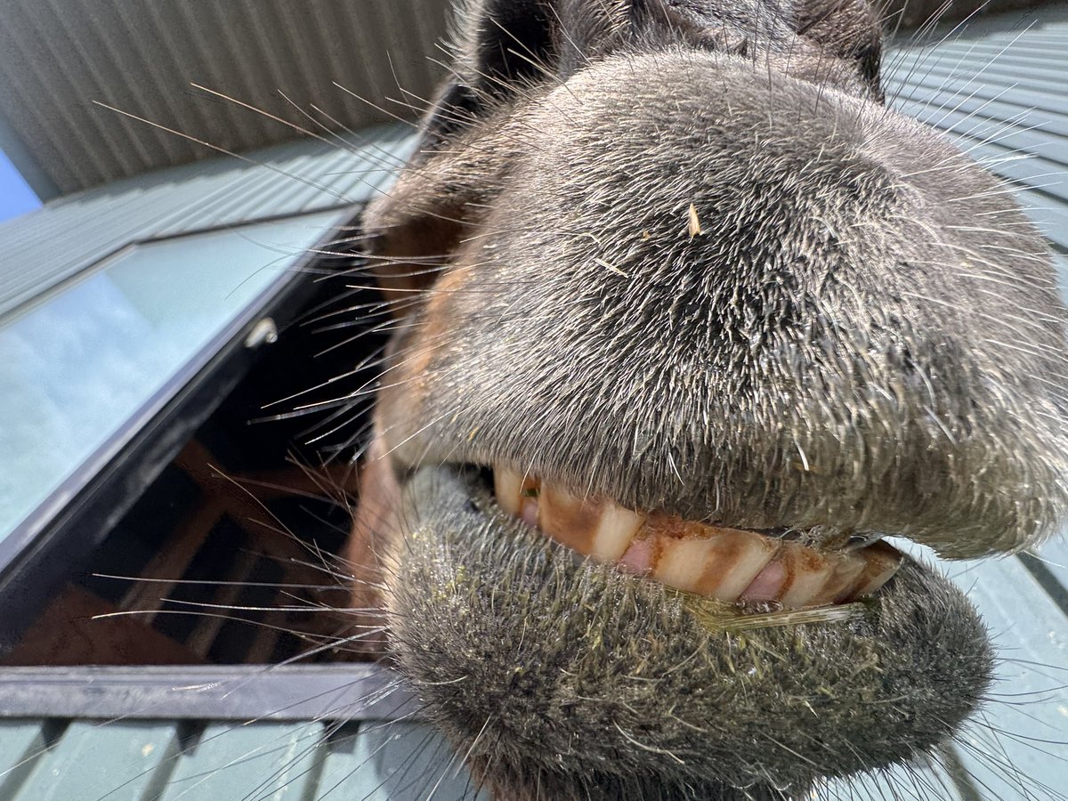 🌻美ぃたん🌻 tweet media