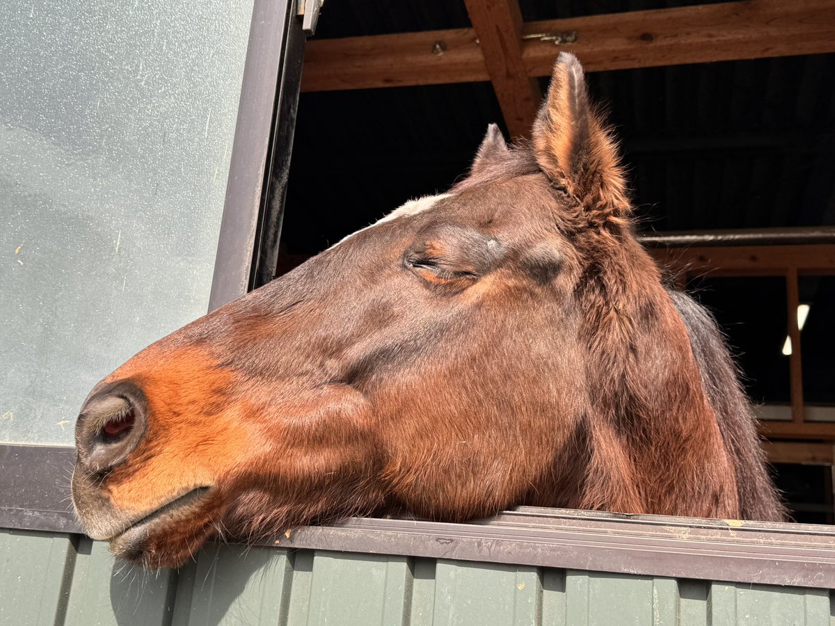 🌻美ぃたん🌻 tweet media