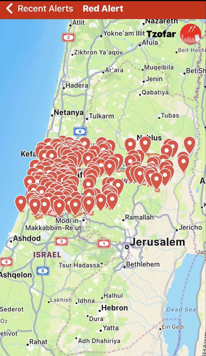 Dana Weinstein tweet media