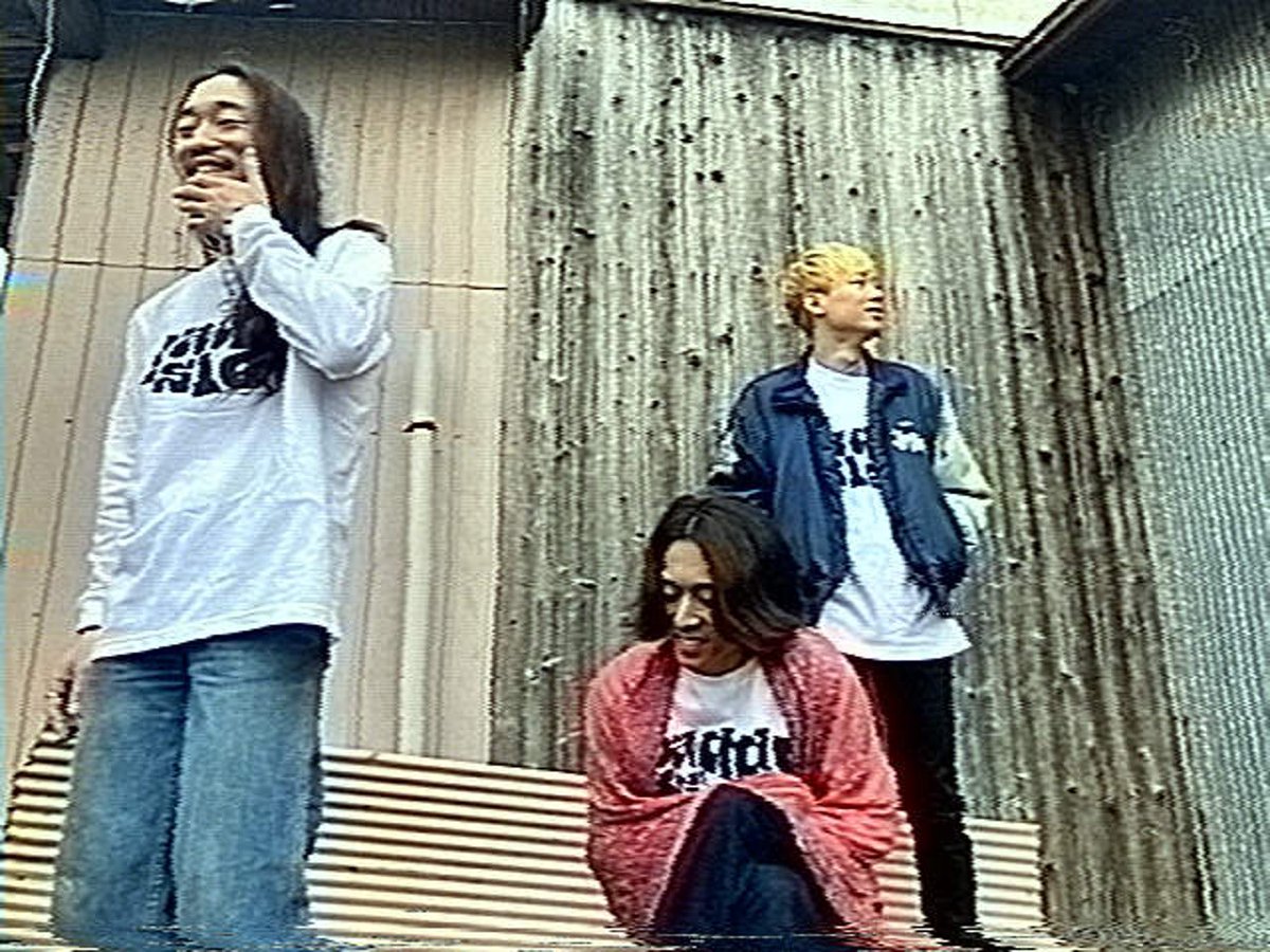 paddy isle tweet media