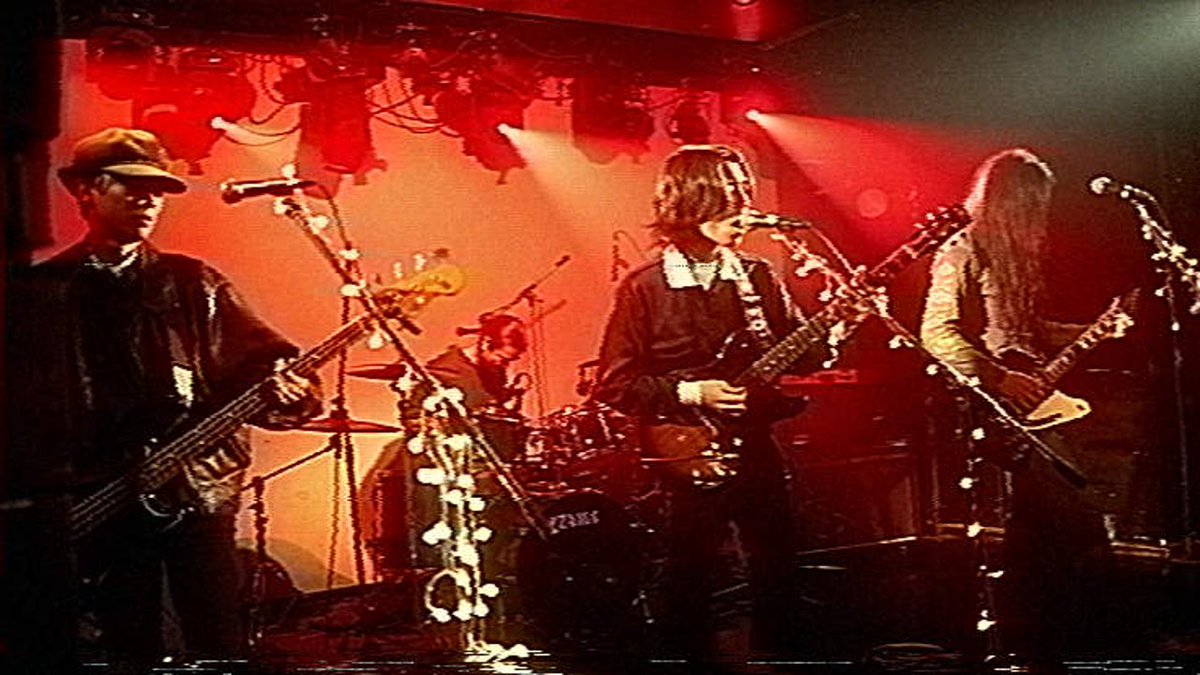 paddy isle tweet media