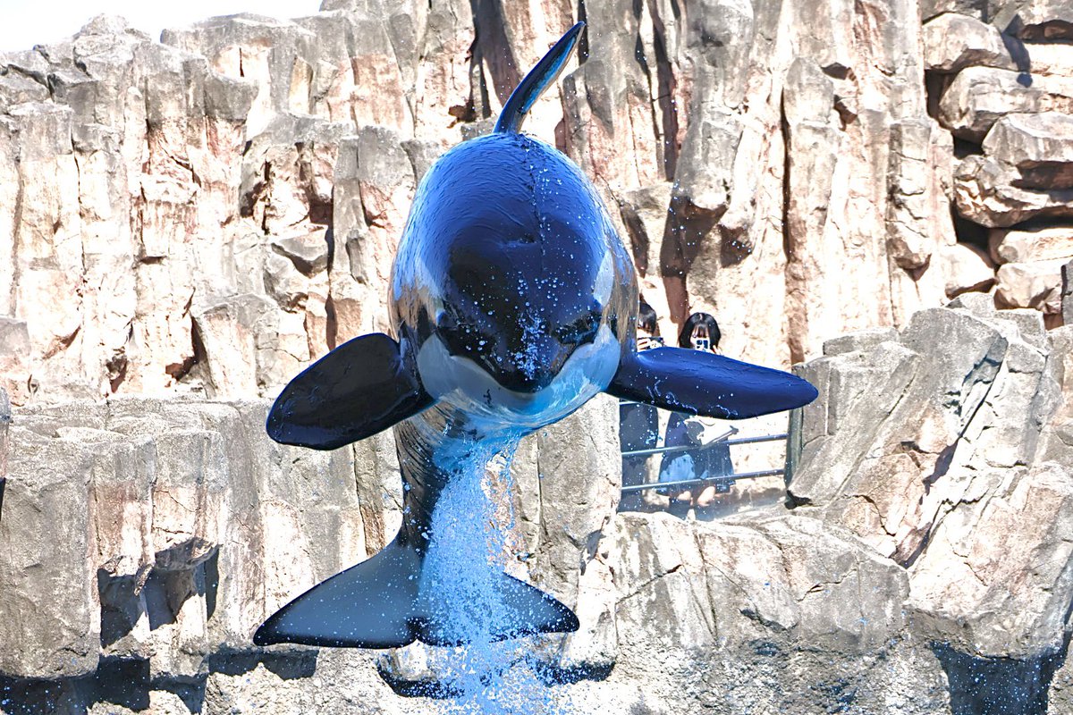 なまこ tweet media