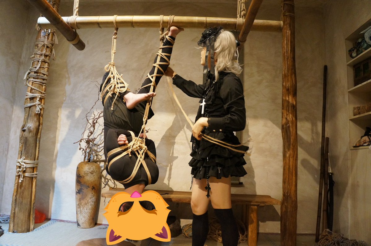 机智的聆！ tweet media