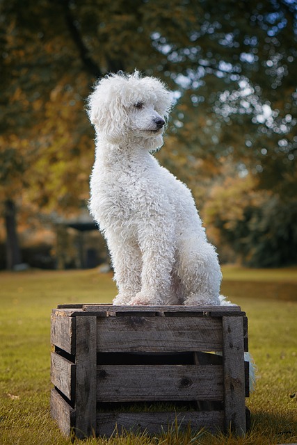 Tammy Kennedy tweet media