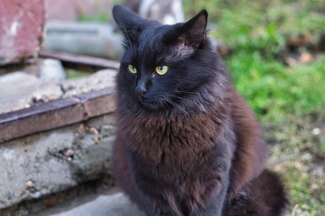 Muhammad Middlebrooks tweet media