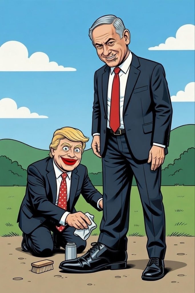 C. Andrew Steeves tweet media