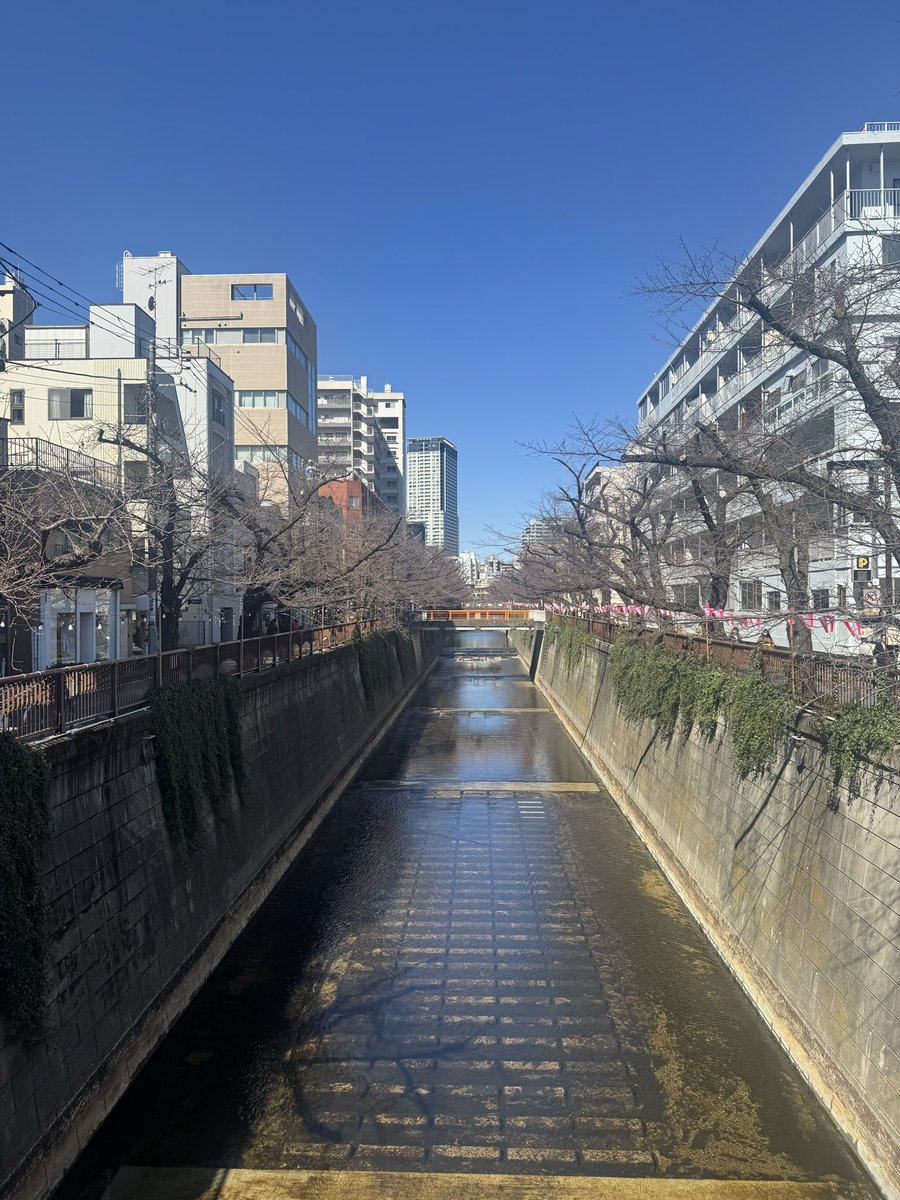 s_alpha17's tweet photo. 先週末は中目黒散歩☕︎
まだ桜は咲いてないから、穏やかだった
そして初めてim donut？行ったけど、私はミスドかクリスピークリームが好きでした。笑 https://t.co/zvySz7cyyA