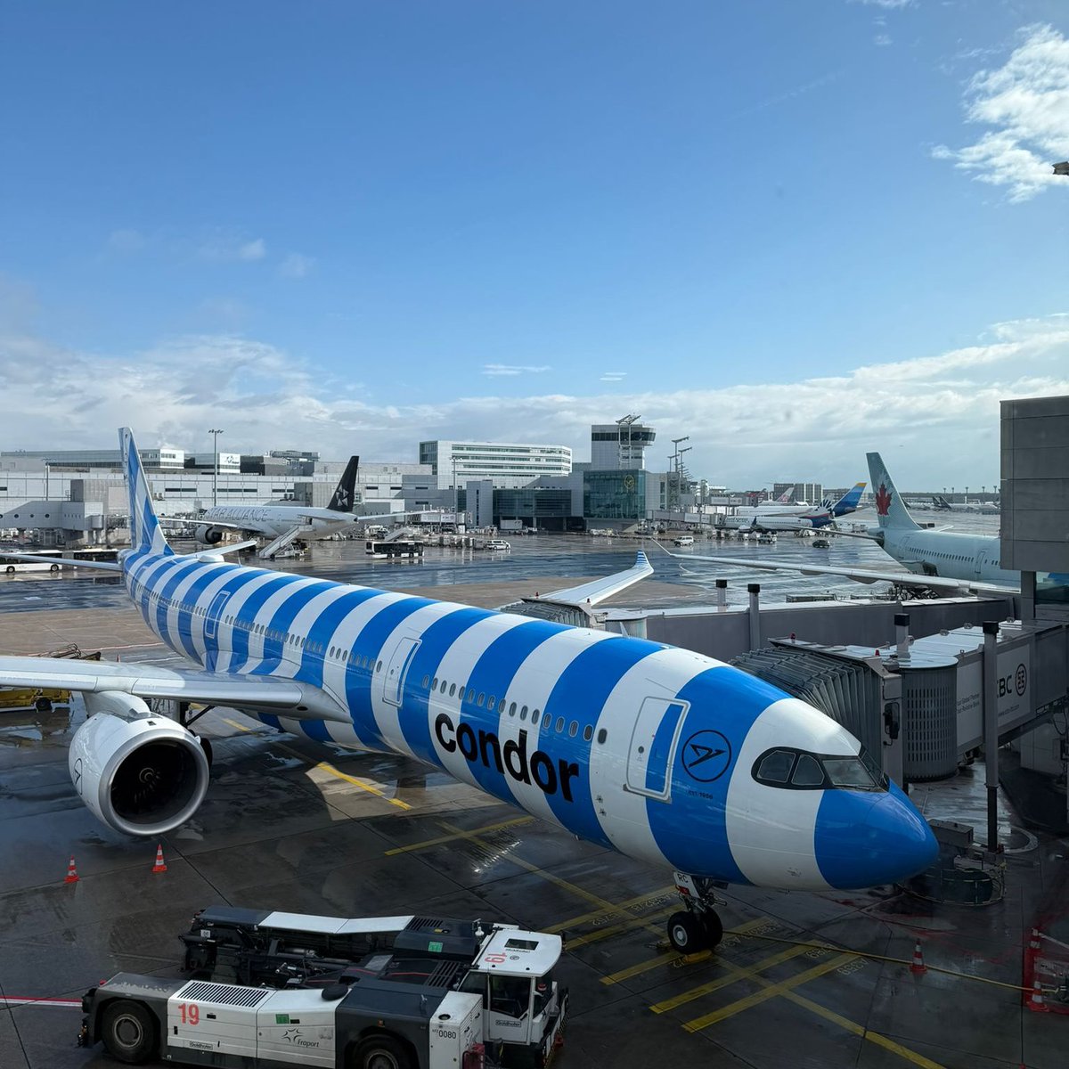 Josh Cahill tweet media