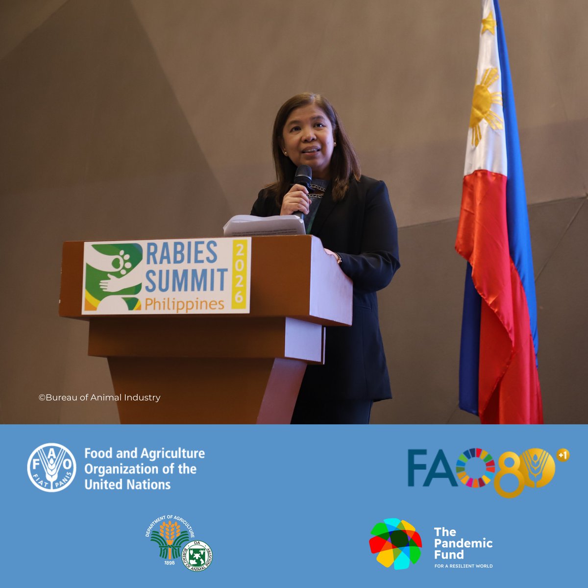FAOPhilippines's tweet photo. At the Summit, @FAOPhilippines, through Assistant FAO Representative Ms. Dulce Carandang, delivered a message of support, highlighting that rabies is entirely preventable, and that achieving #Zeroby30 is within reach through coordinated #OneHealth action. 🤝 https://t.co/zJ1Yjyv8ki