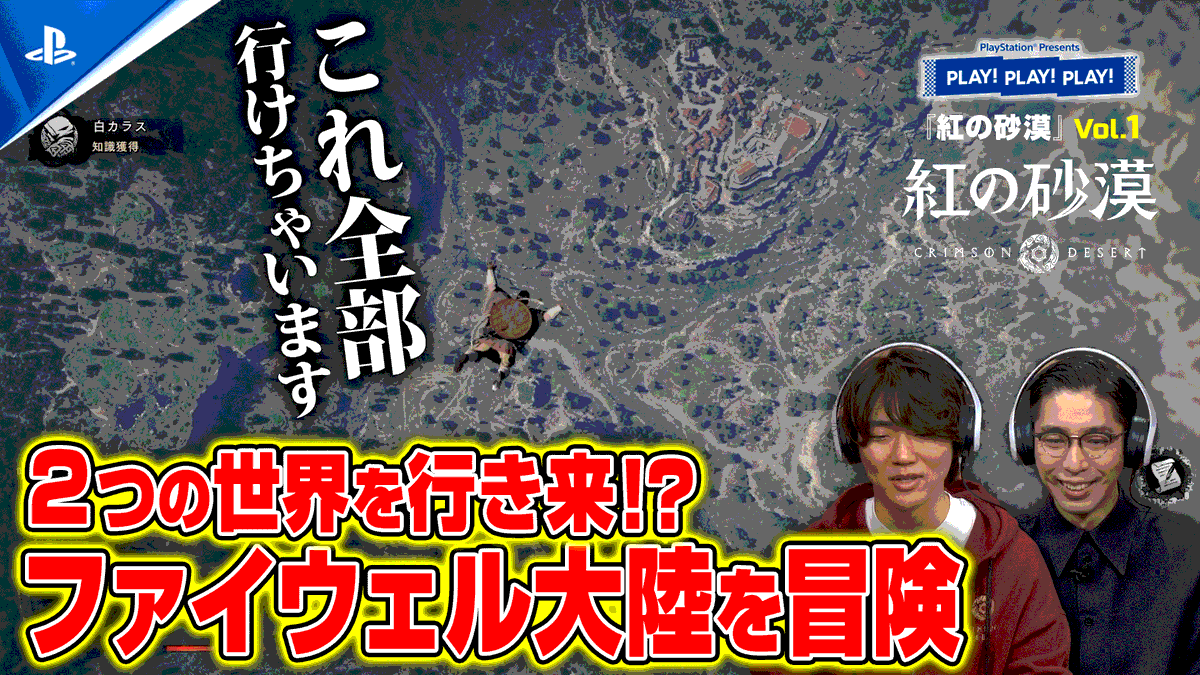 Crimson Desert tweet media