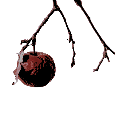 THREDRAVEN's tweet photo. ⠀
⠀⠀ ┈─   𝓼o   long   as  ∗   men  𝖗͟𝖊͟𝖒͟𝖊͟𝖒͟𝖇͟𝖊͟𝖗   the   𝑤𝑟𝑜𝑛𝑔  ﹏   done   to  their   forebears 、 ❪   no   𝓹𝓮𝐚𝐜𝐞   will   ever   last  。❫
⠀ https://t.co/nm2AWhS7jk