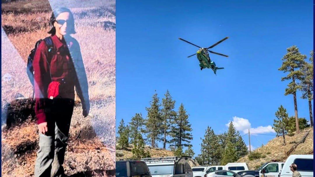 UFO mania tweet media