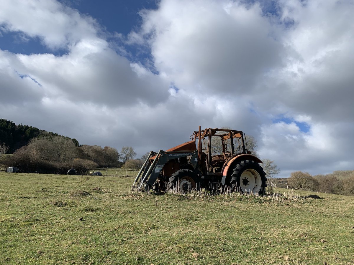 Andrew Stumpf tweet media