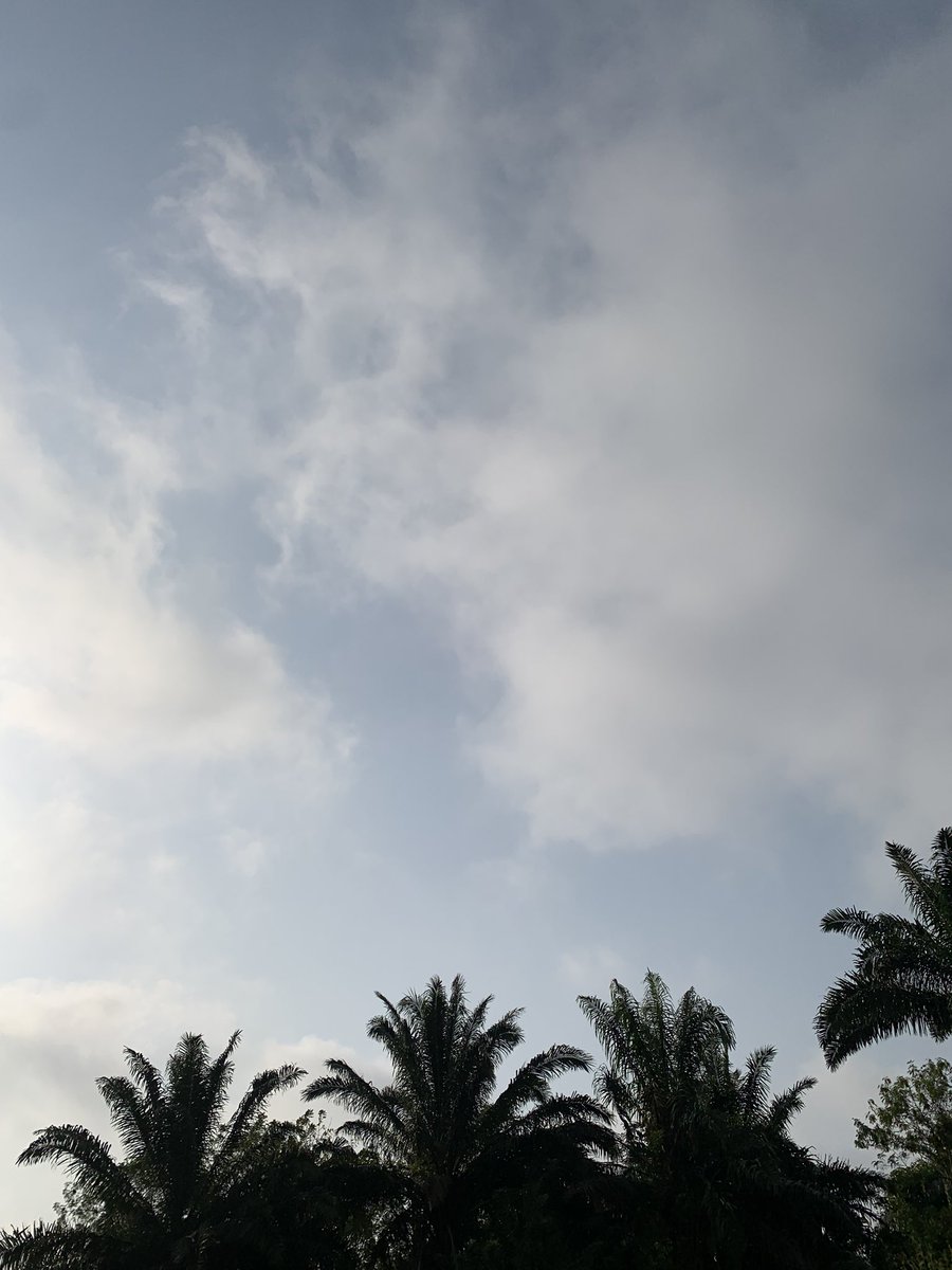 Mayor💨 tweet media