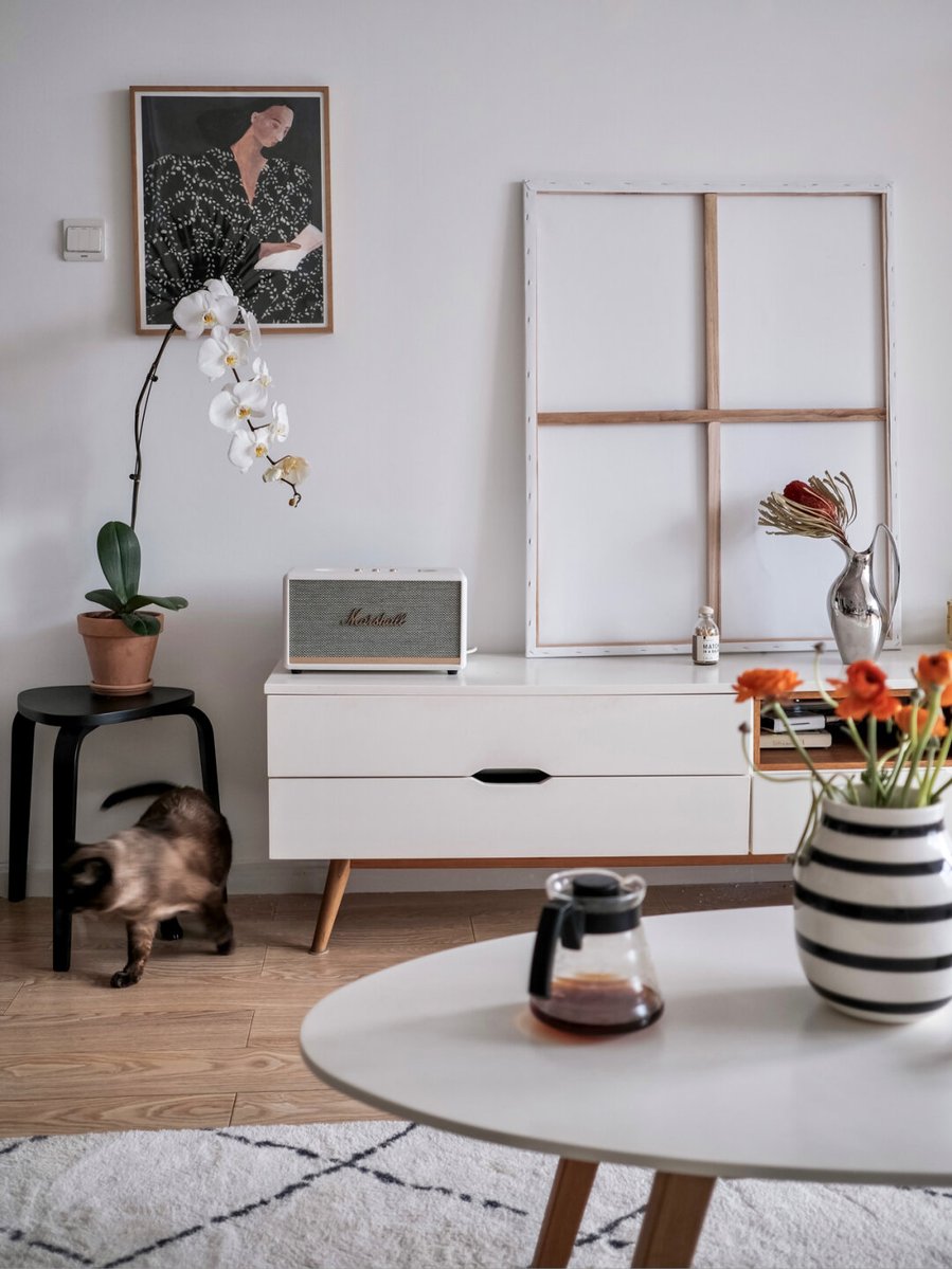 Ｖａｎ  Ｄｙｎｅ. tweet media