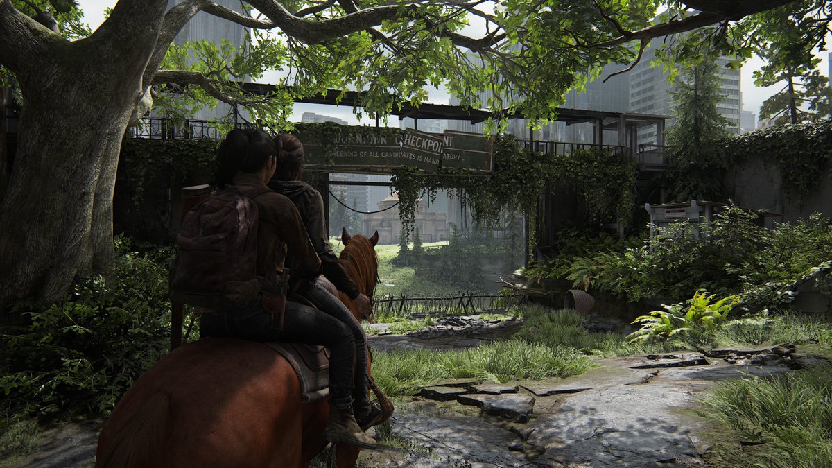 junkster tweet media