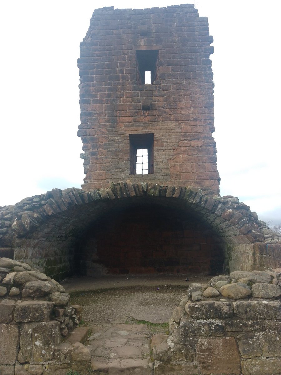 Tarlie Bear tweet media