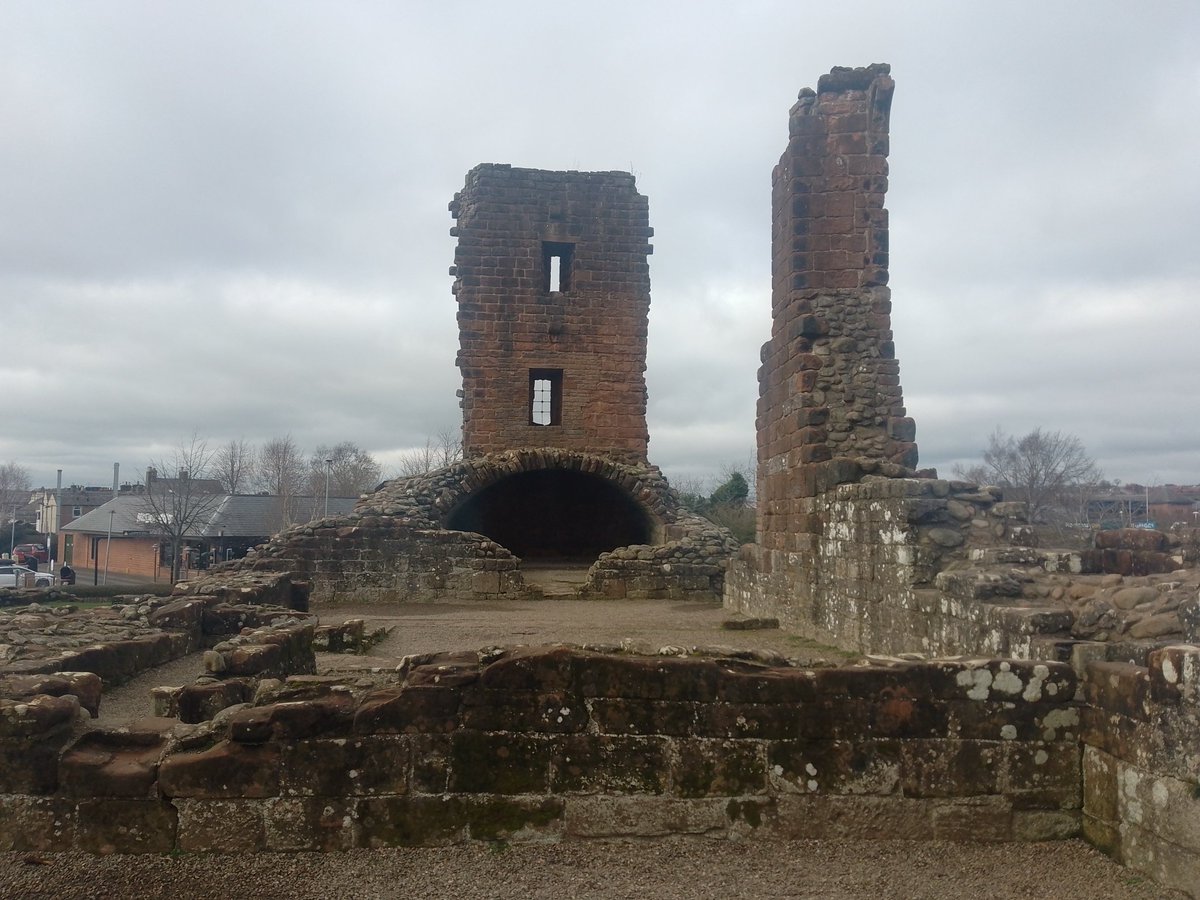 Tarlie Bear tweet media