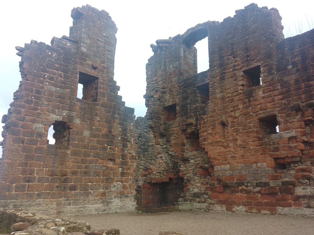 Tarlie Bear tweet media