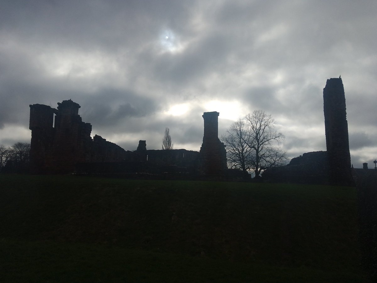 Tarlie Bear tweet media