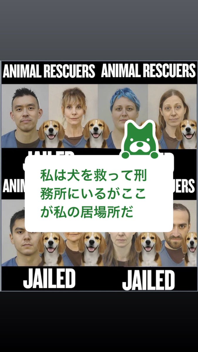 vegan_teacher__'s tweet photo. 本日１本目の投稿に引き続き
DxEによるビーグル犬救出について

今の所私１人しか
採り上げていないようなので
１人で数人分の働きをしたいと思う（笑）

以下は昨日出たシュン氏の獄中声明：

「私は犬を救ったために刑務所にいる。

ここが私の居場所だ」

詳細はプロフィール欄からアメブロへ

#DxE https://t.co/5XEcwRUHvy