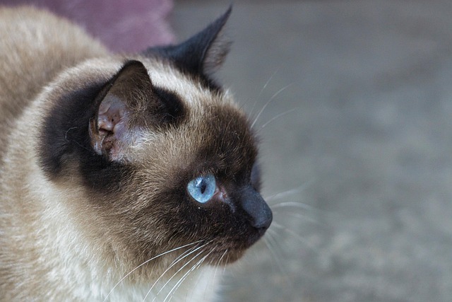 Beth Johnson tweet media