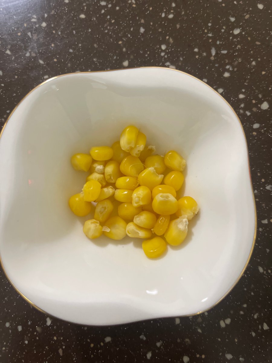 陶瑞 ToaRya tweet media