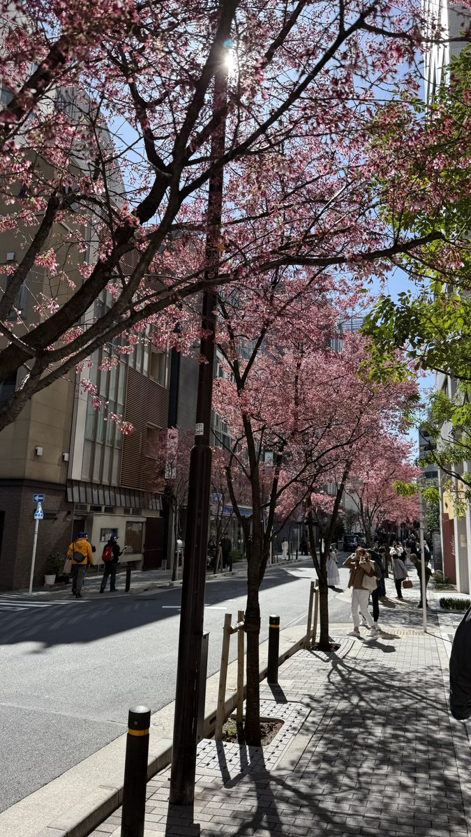 LOG (東京4/17-21) tweet media