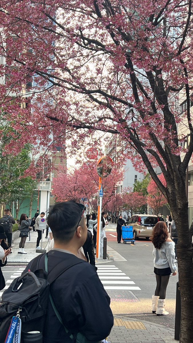 LOG (東京4/17-21) tweet media