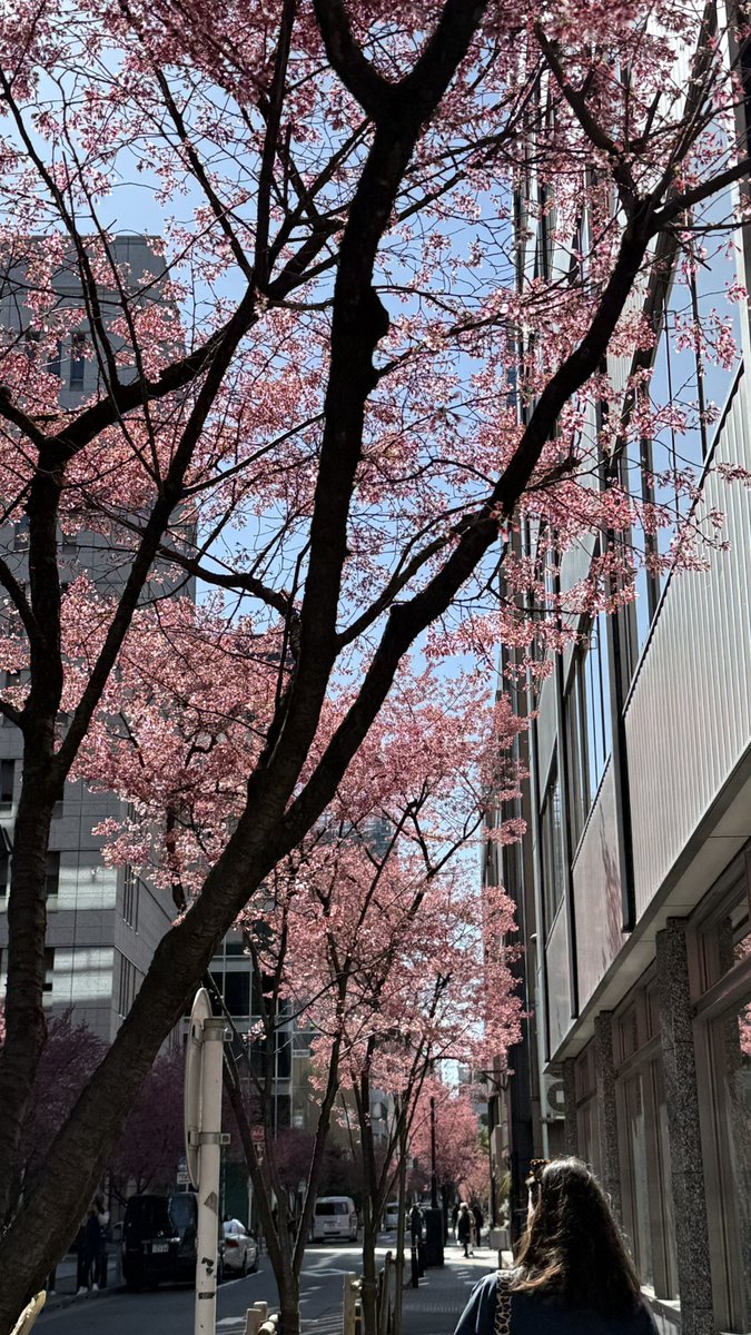 LOG (東京4/17-21) tweet media