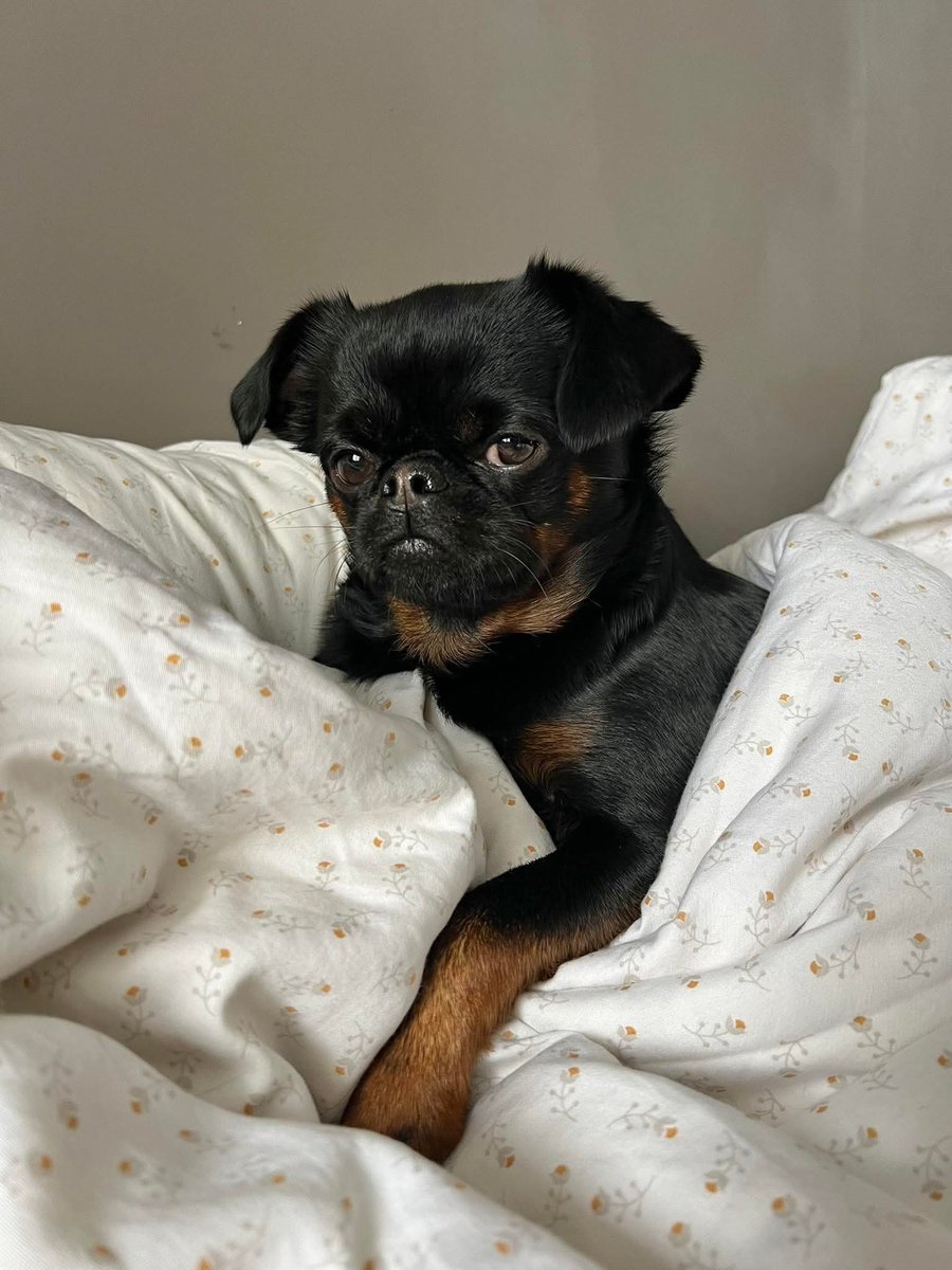 I am not in a good mood,even if you can send me money I will return it🫠