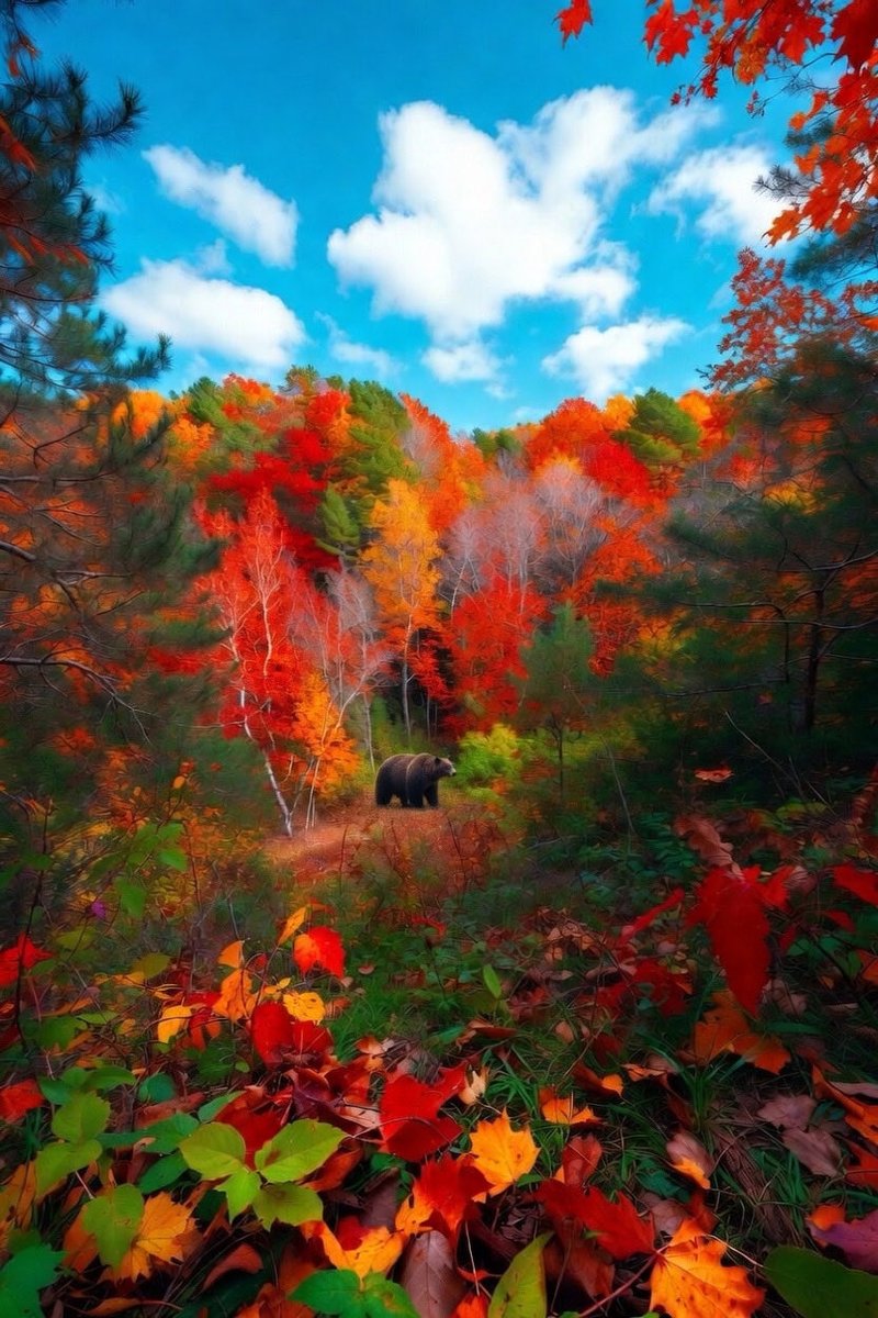 DeusExMachina 🪬 tweet media